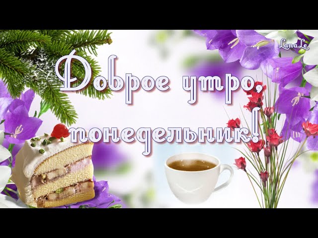 Доброго понедельника! 🥰 — прикольные картинки с утром в 