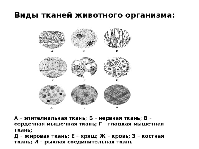 Рисунки на ткани