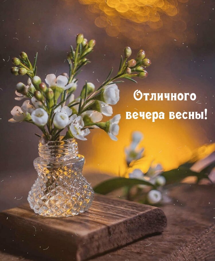 Картинка добрый вечер весна природа март