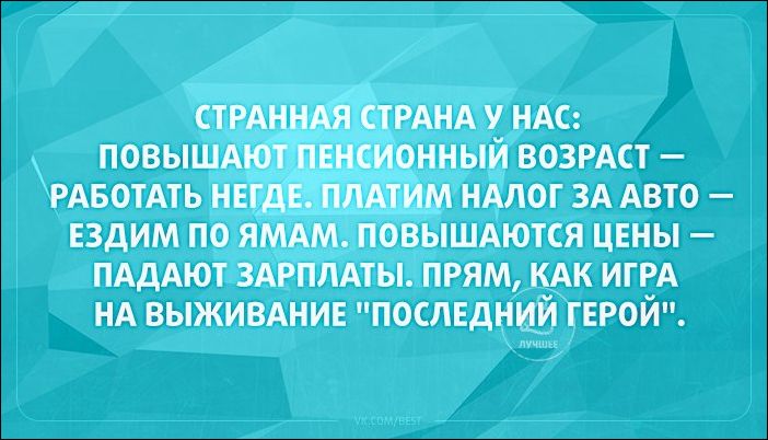 Смешные картинки котов с надписями 