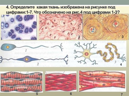 Купить Худь на подарок для любимого 