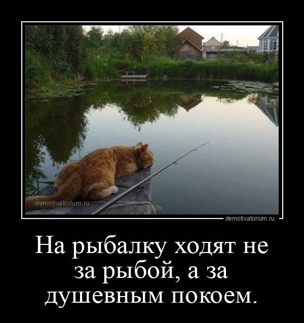 СТИХИ ПРО РЫБАЛКУ прикольные, короткие и длинные 🎣 ProRybu