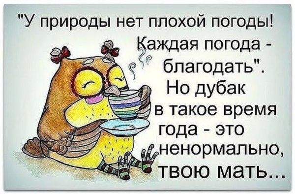 У природы нет плохой погоды