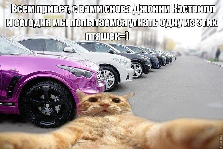 Авто приколы! Большая подборка картинок