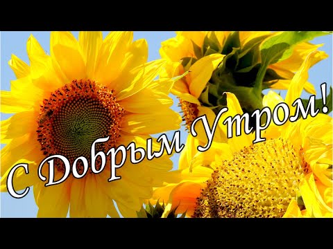 С добрым утром