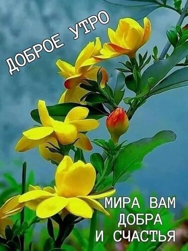 Мира, добра и покоя Вам! 