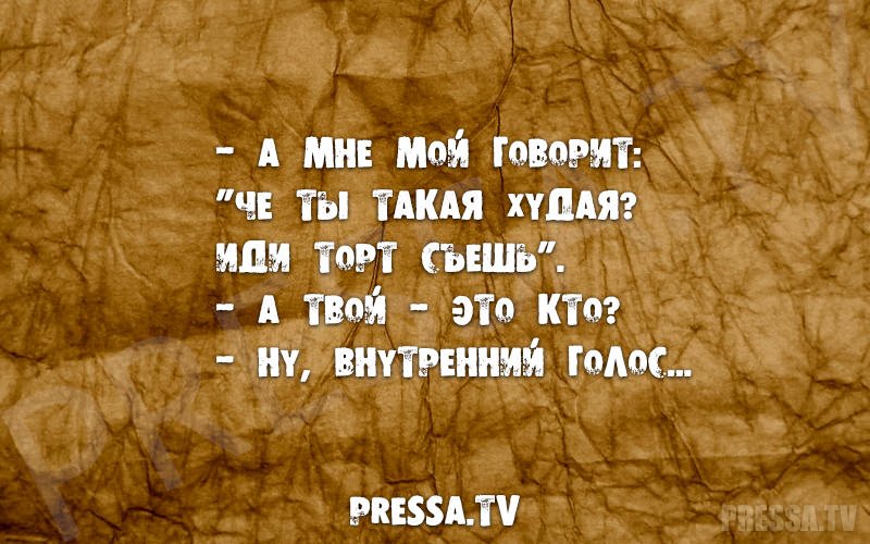 Подушка «Терпение и труд мне не идут, смешные фразы и котики 