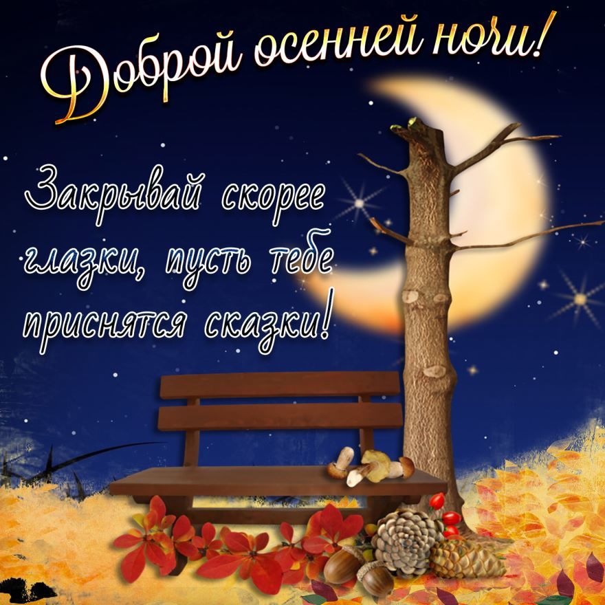 Спокойной ночи, друзья!#видеооткрытки#спокойнойночи 