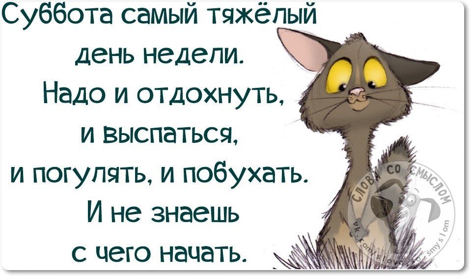 Доброе утро суббота картинки прикольные