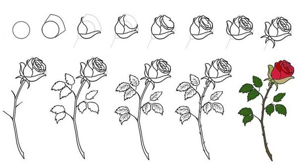 Картинки цветов для срисовки легкие и красивые 