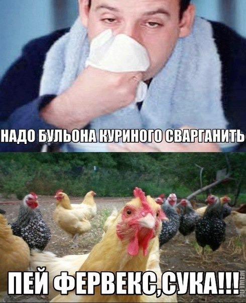 Прикольные штучки 