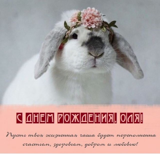 С днем рождения, оля открытки