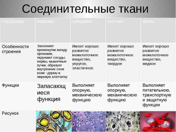 Ткани с рисунком Полезная информация о 