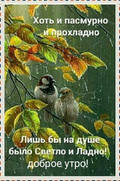 Доброе утро природа