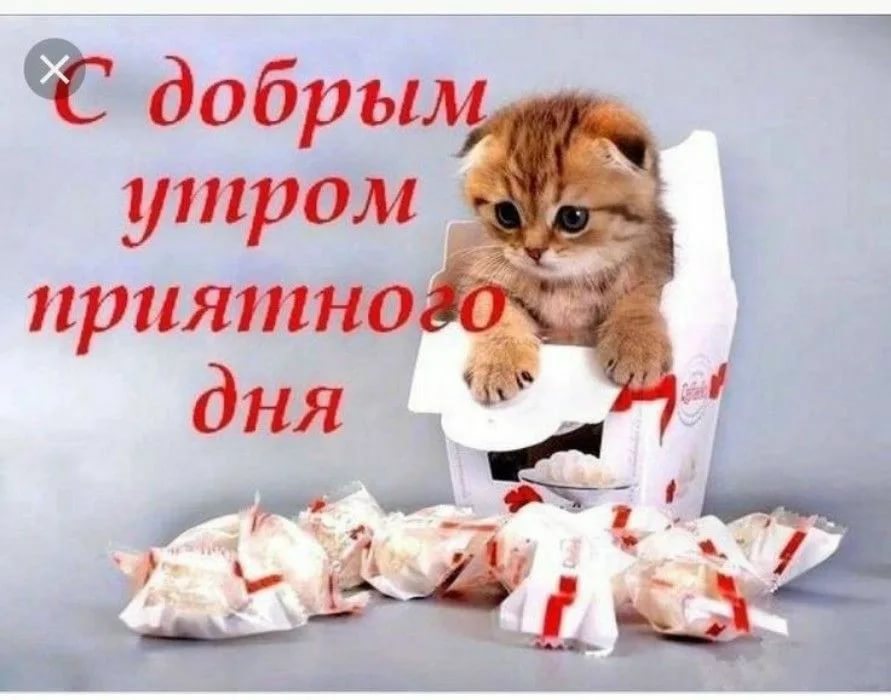 Открытка спокойной ночи! Кот, подушки, сердечки! Открытки 