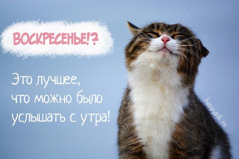 ВОСКРЕСЕНЬЕ ДОБРОЕ УТРО! Удачного Воскресенья! Хорошего 