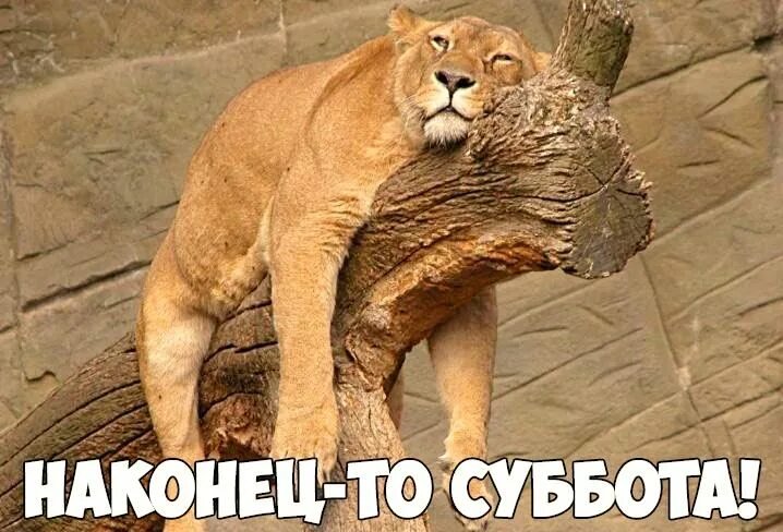 v_krykov — фантастика — LiveJournal