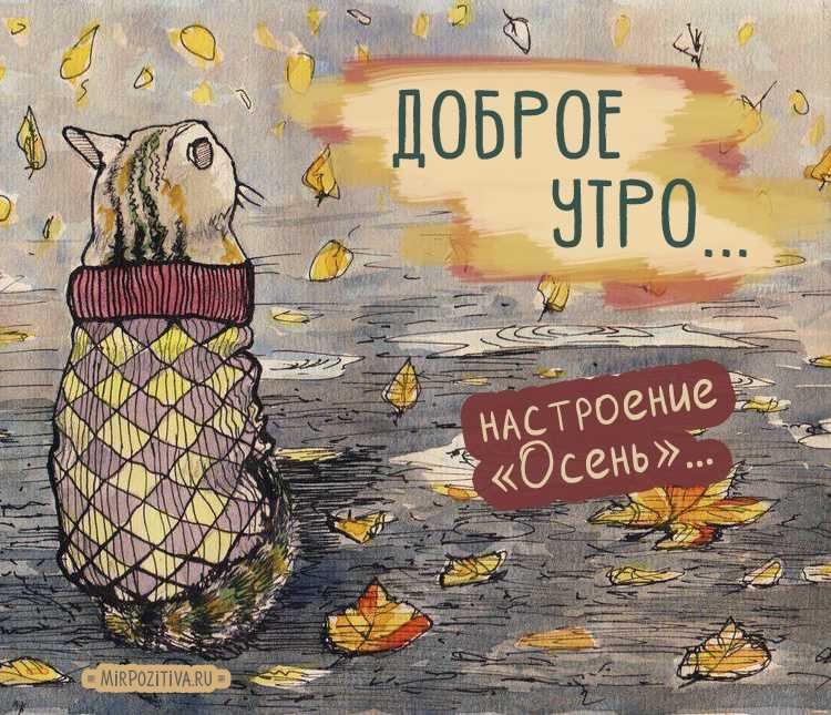 🍁 ⛅ ☕ Картинки С добрым осенним утром