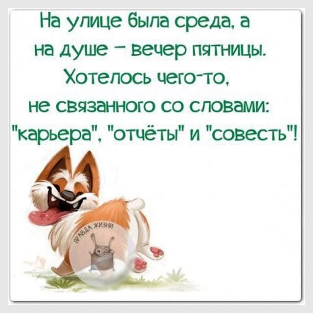 Беспощадные анекдоты на среду в картинках