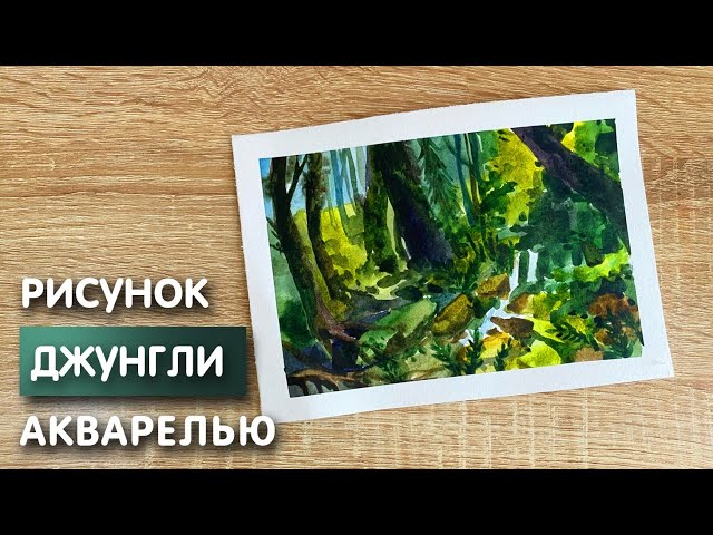 Джунгли Пейзаж С Много Растений И Животных — стоковая 