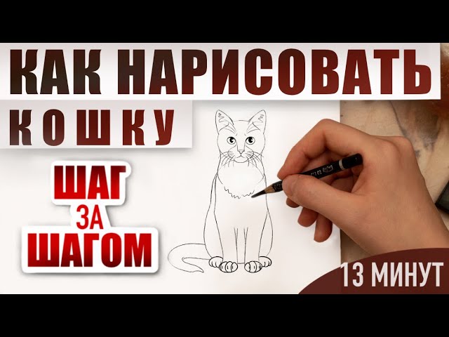 Раскраска смешные коты