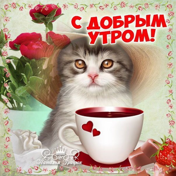 ❤️❤️❤️ Доброе утро, любимая ❤️❤️❤️ 