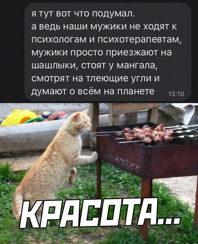 Funny и Картинка с текстом