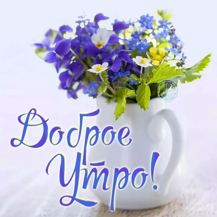 ДОБРОЕ УТРО ~ Открытки Доброе утро ~ zhivopismira