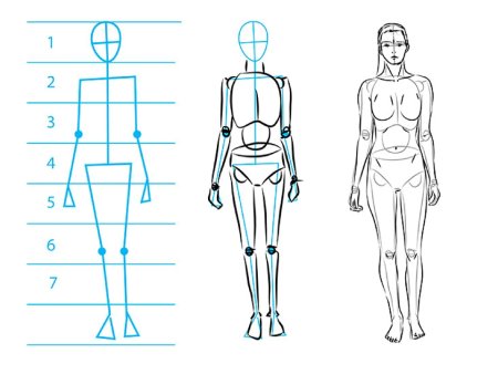 Как легко научиться рисовать человека — поэтапное руководство