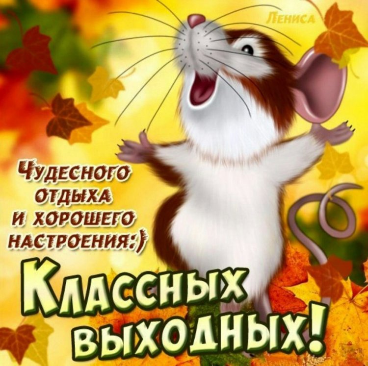 Выходной- Смешные стихи- Old Hamster- ХОХМОДРОМ