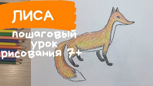 3 000+ рисунков лисы