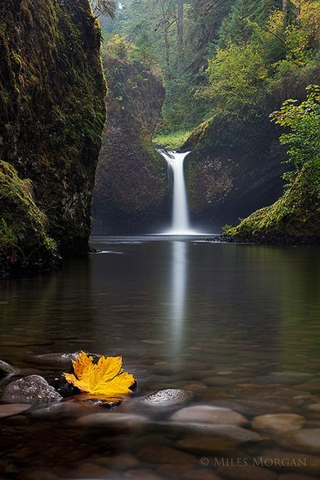 красивый водопад 