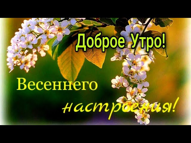 Доброе утро картинки красивые новые весенние