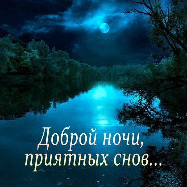 Спокойной ночи! #Природа 