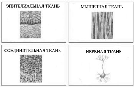 Виды тканей для постельного белья