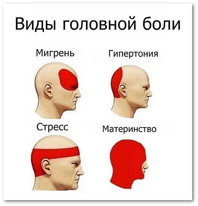 Футболка Голова не болит 