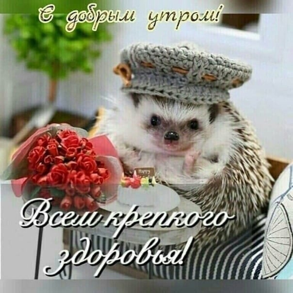 Доброе утро