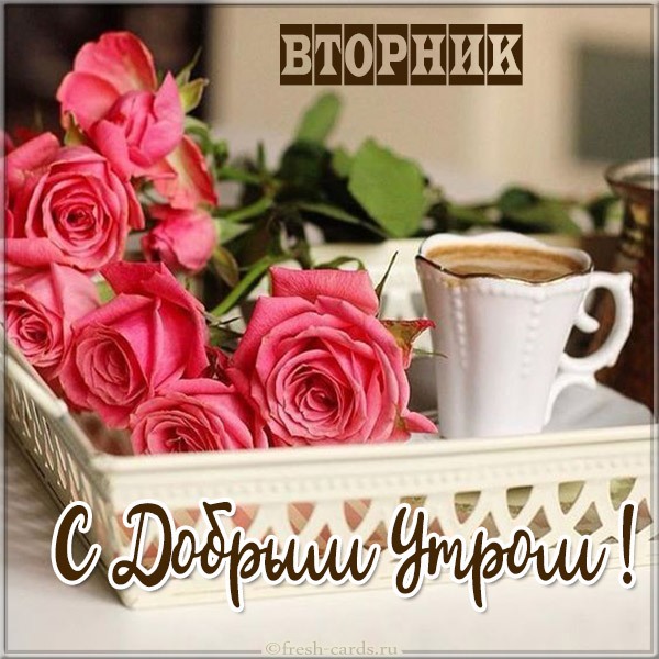 Открытка с утром вторника