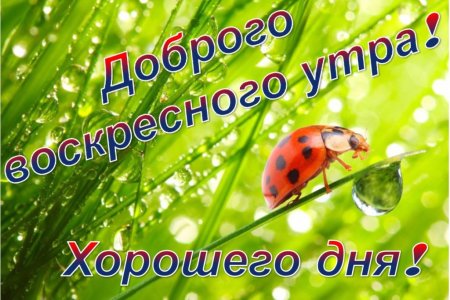 Музыкальная открытка 