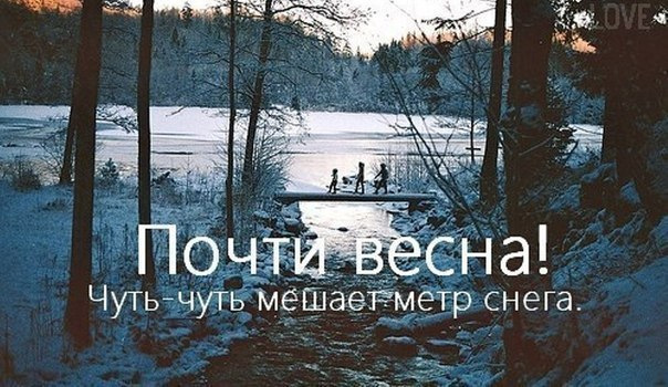 Держись, друг, скоро весна!» — 5 самых теплых зимних фото 