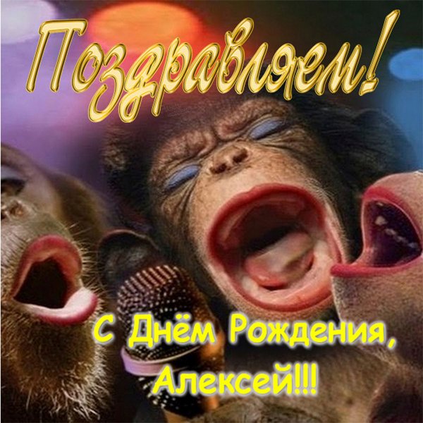 Алексей, с Днём Рождения