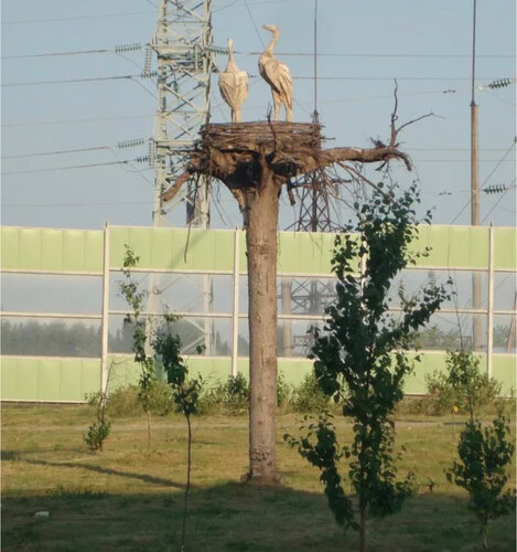 Аисты, жанровая скульптура, Пермь 