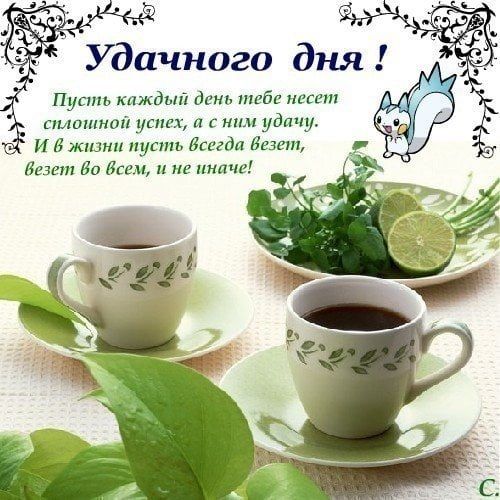 💗☕️Доброе Утро! Хорошего Дня!🌷Для Друзей! Заряд Позитива 