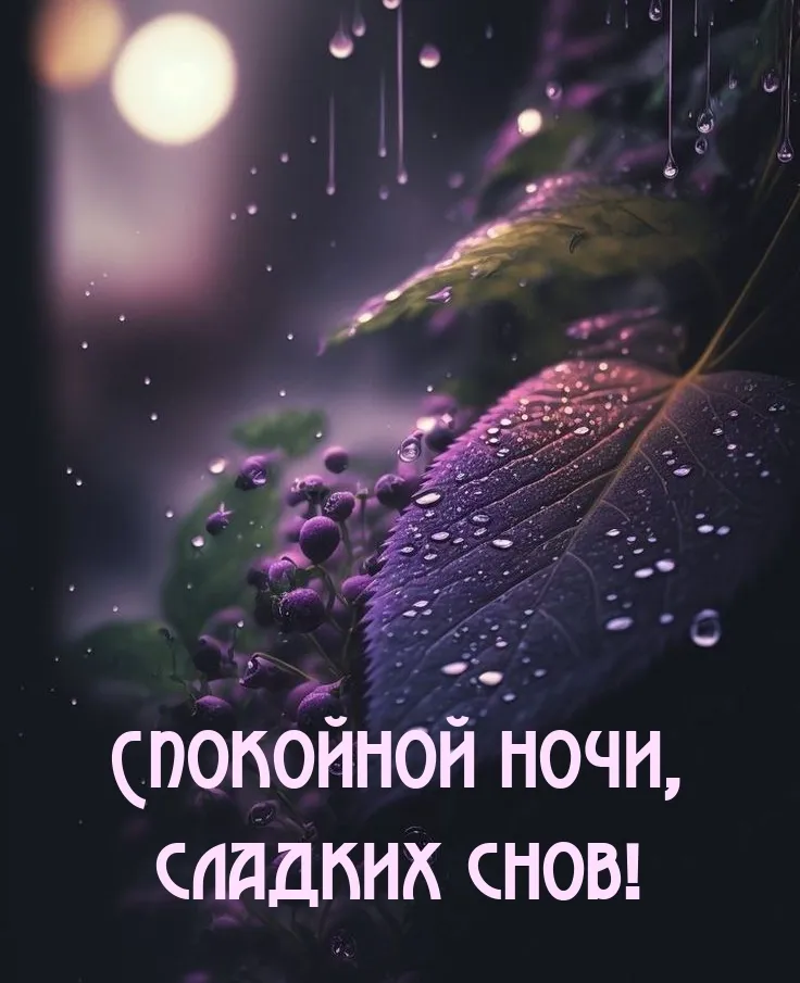 🌒 Сладких снов