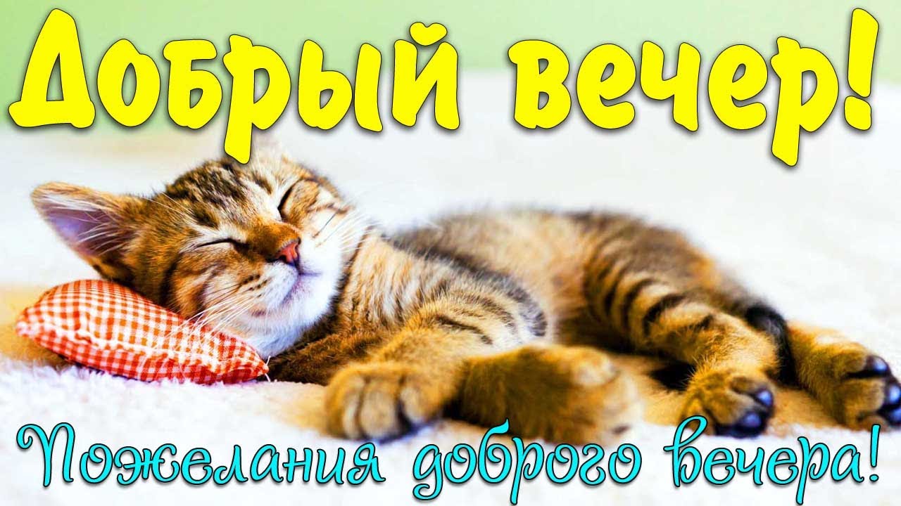 100 красивых пожеланий доброго вечера 