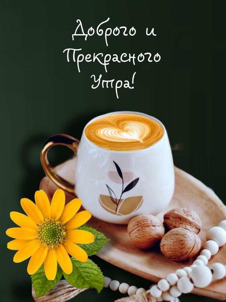 Красивые картинки Доброе утро ☀️☕ 618 шт