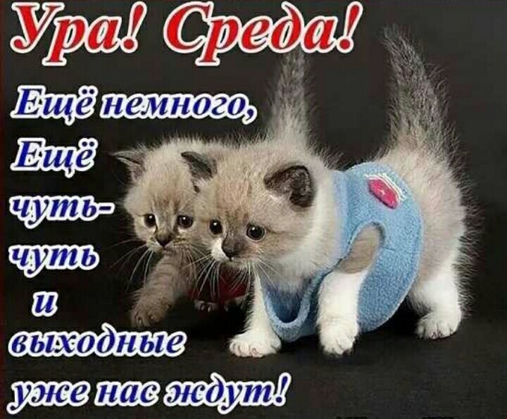 Прикольные картинки Доброе утро 👍 😄