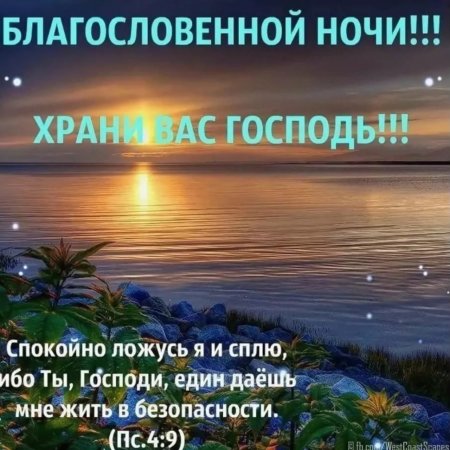 🧚‍♀🌹🌙Я вам желаю снов красивых С хрустальным отзвуком 