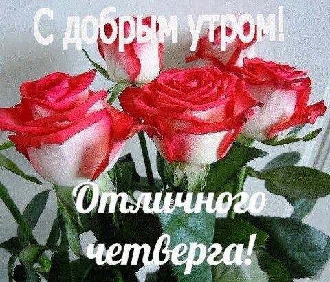 🌺☕️ С Добрым Утром Четверга! Позитивчик 