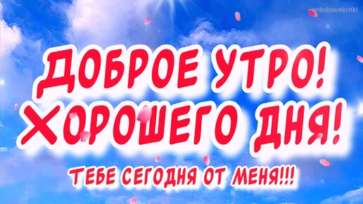 Веселые и оригинальные открытки 